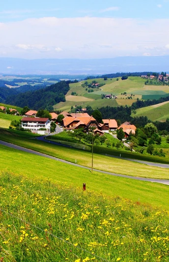 welliges Gelände beir Vorderfultigen