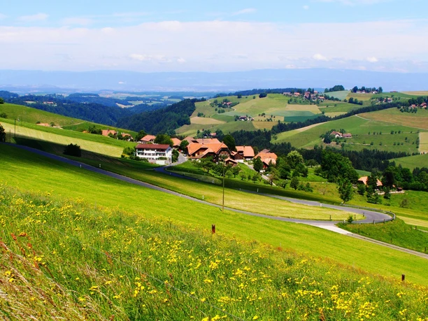 welliges Gelände beir Vorderfultigen