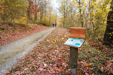 Wanderweg mit Schautafel