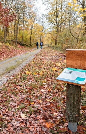Wanderweg mit Schautafel
