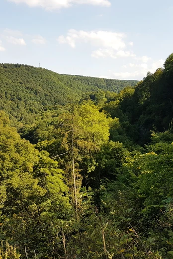 Blick vom Wilhemsblick