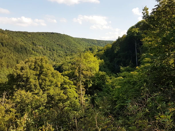 Blick vom Wilhemsblick