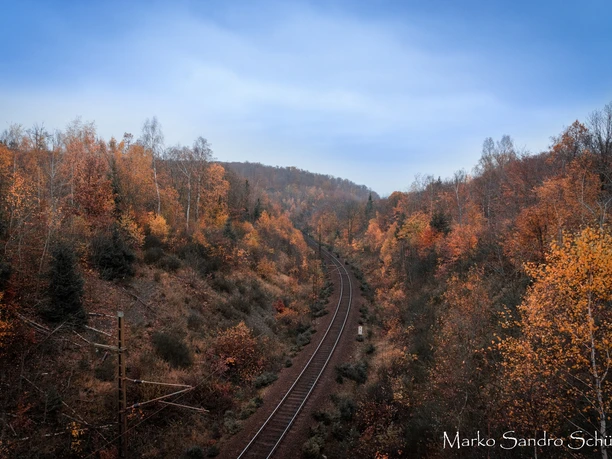 View from the Otto-Ebert Bridge