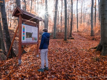 Information boards explain the different stations