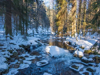 Elendstal zwischen Elend und Schierke