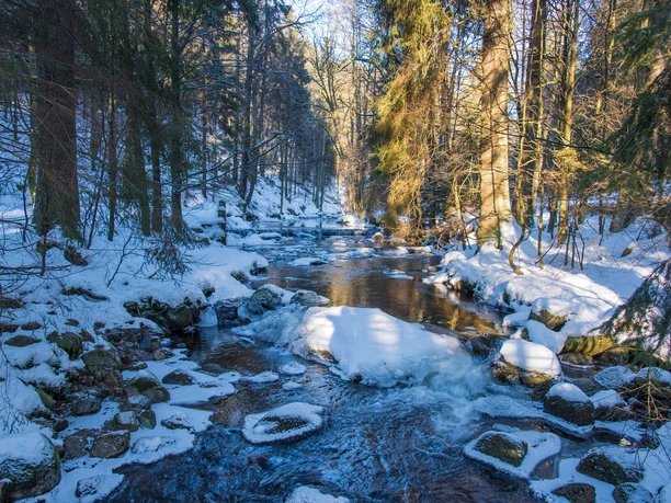 Elendstal zwischen Elend und Schierke