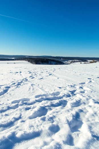 Winterlandschaft im Oberharz