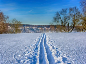 Loipen um Benneckenstein