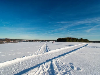 Winterlandschaft im Oberharz