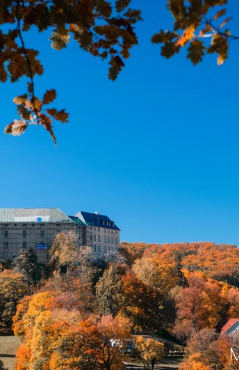Ausblick auf das Große Schloss von der Teufelsmauer