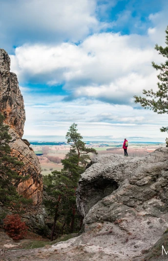 Hamburger Coat of Arms near Timmenrode