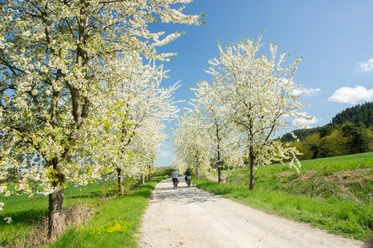 Wanderweg vom Helsunger Krug in Richtung Innenstadt