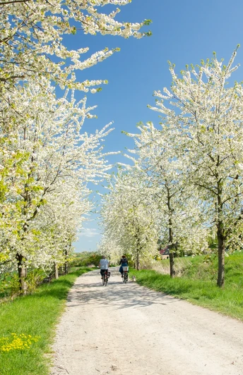 Hiking path from Helsunger Krug towards the city center