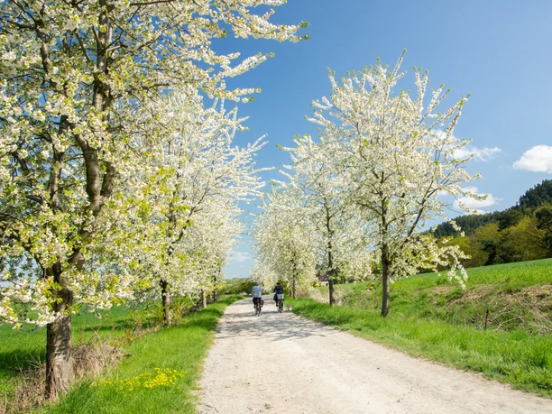 Wanderweg vom Helsunger Krug in Richtung Innenstadt