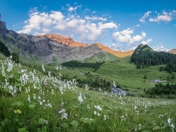 Idyllisch schöne Landschaft