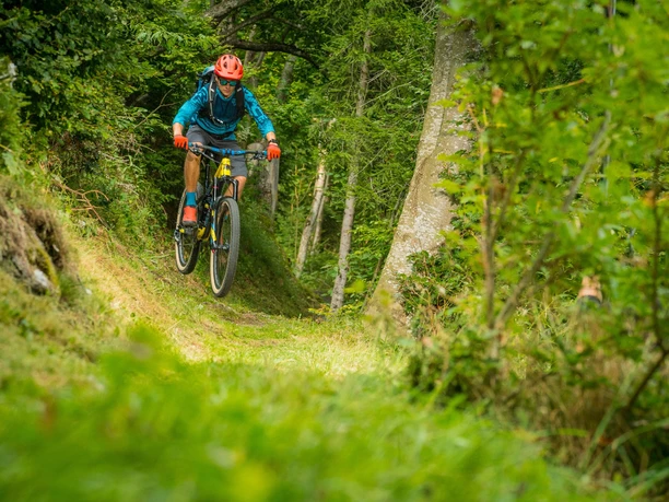 Fast descents through green landscapes