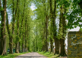 Allee zu Gut Düringen