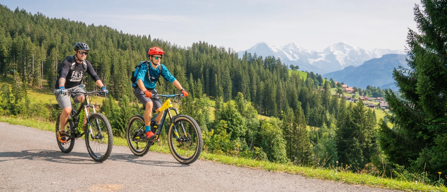 Scenic route through flower meadows