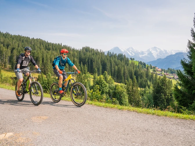 Panoramareiche Strecke durch Blumenwiesen