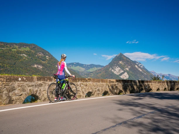 Blick in Richtung Interlaken mit dem Hausberg Harder