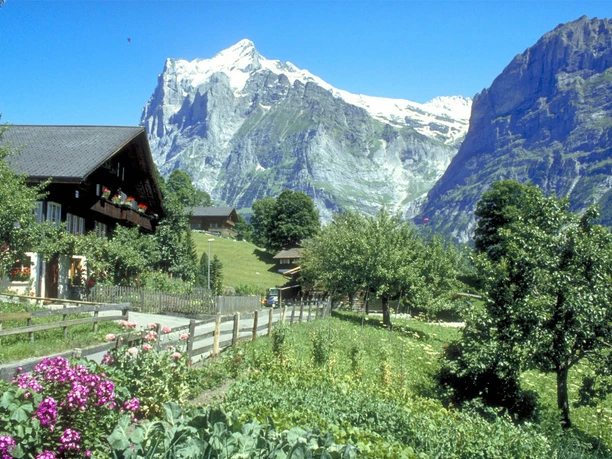 Blumengeschmückte Chalets zieren die Route