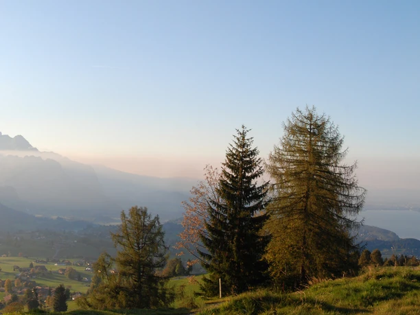 Evening mood at Aeschi