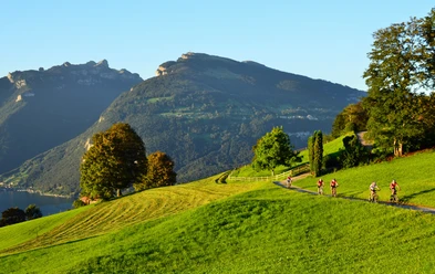 Saftige Wiesen und herrlicher Ausblick