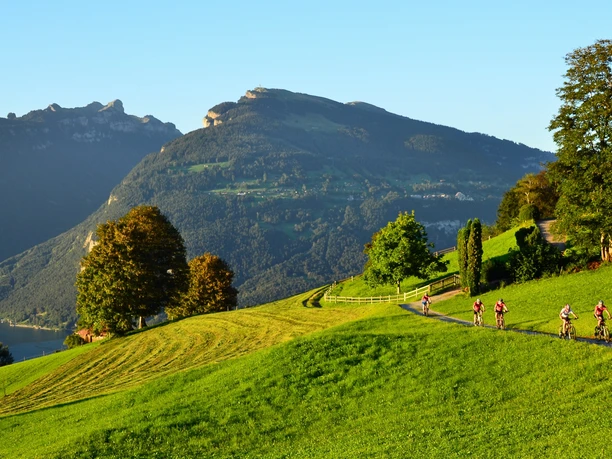 Lush meadows and magnificent view