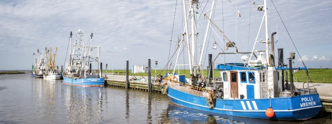 Kutterhafen in Wremen, Kleiner Preuße