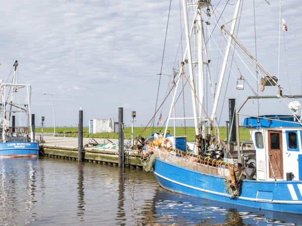 Kutterhafen in Wremen, Kleiner Preuße