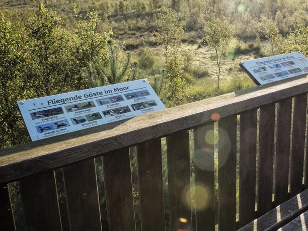 Blick auf das Hagener Königsmoor