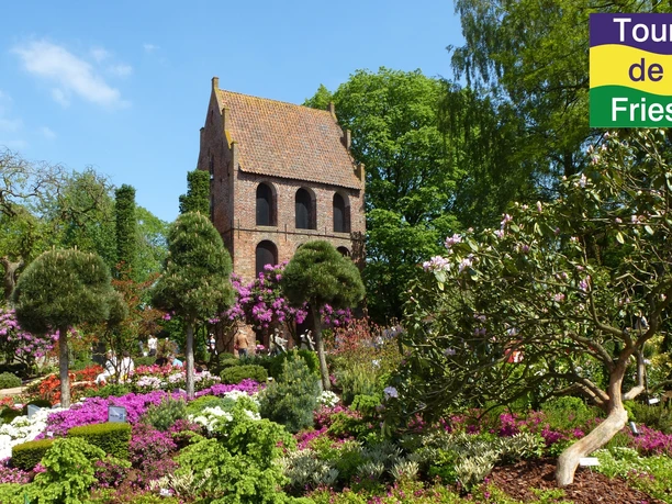 Auf der Rhodo in Westerstede