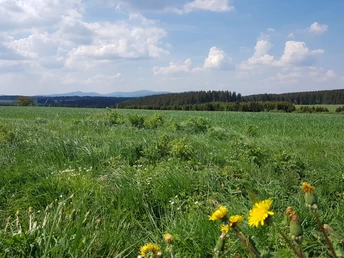 Panoramablick am Radweg Hasselfelde - Trautenstein