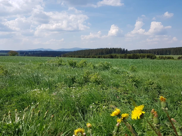 Panoramablick am Radweg Hasselfelde - Trautenstein