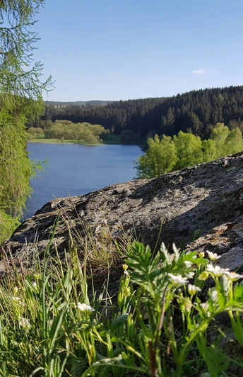 Aussichtspunkt Trageburg mit Blick auf die Rappbodevorsperre