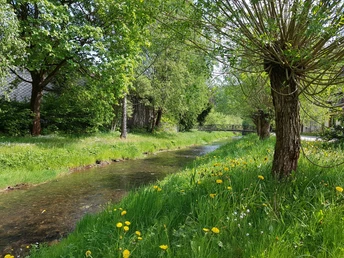 Trautenstein auf dem Weg zum Rundweg