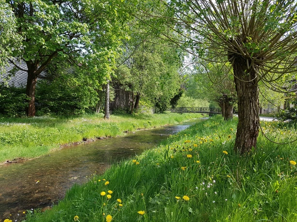 Trautenstein on the way to the circular route