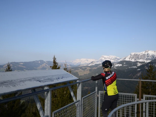 Panorama depuis la tour d'observation Blueme