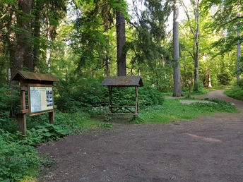 Startpunkt im Elendstal