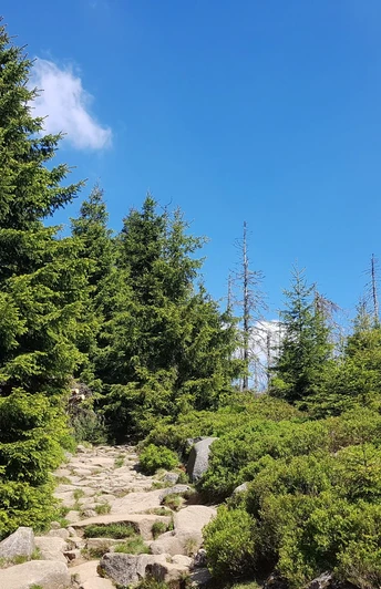 Eckerlochstieg zum Brocken