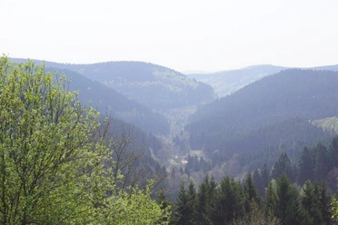 Unterstadt St. Andreasberg versteckt im Tal | Foto: S. Grüning