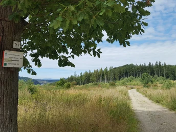 Naturnaher Wanderweg