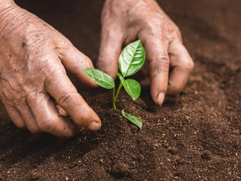 Kulturfrauen bei der Arbeit