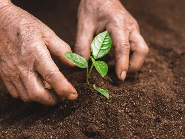 Kulturfrauen bei der Arbeit