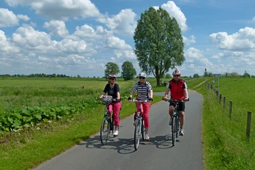 Radfahrer am Jümmedeich