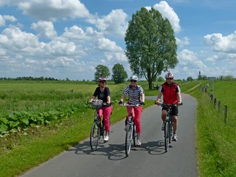 Radfahrer am Jümmedeich