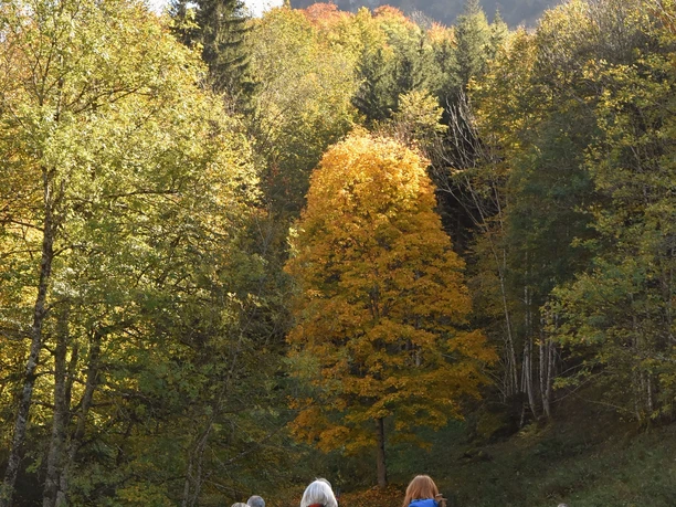 On the old valley route, it goes downhill