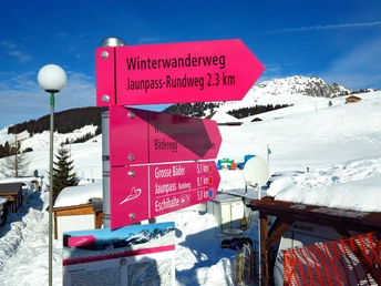 Der Jaunpass Trail ist rot markiert.