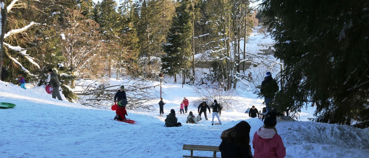 Children sledding in Schierke
