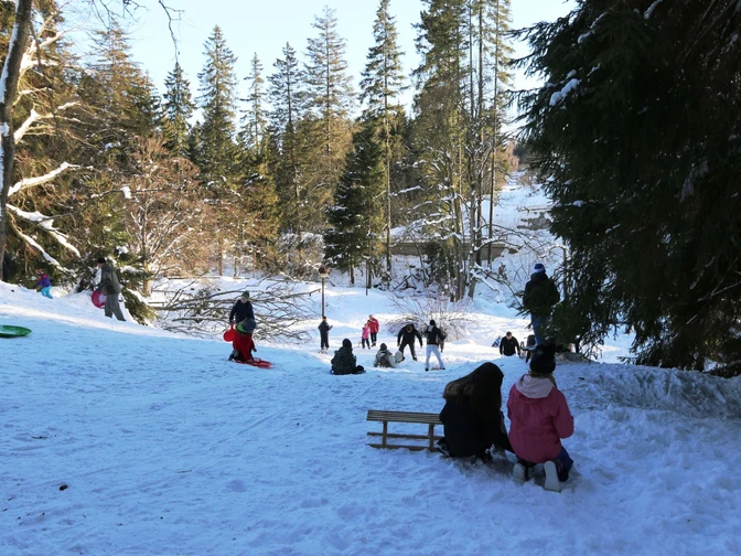 Rodelnde Kinder in Schierke